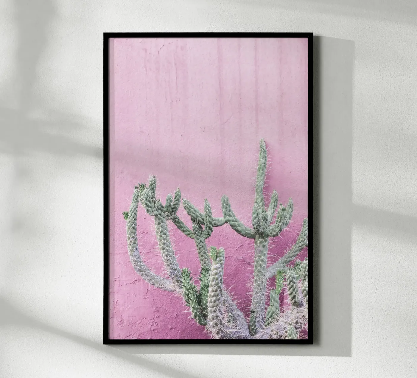 Cactus su rosa poster da Kathrin Pienaar