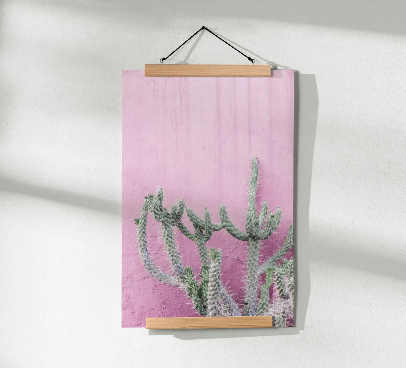 Cactus su rosa poster da Kathrin Pienaar