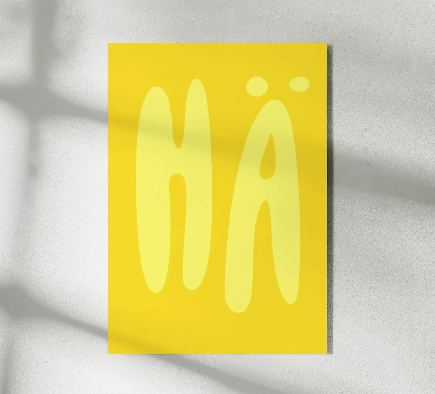 hä plexiglass da mariescolours