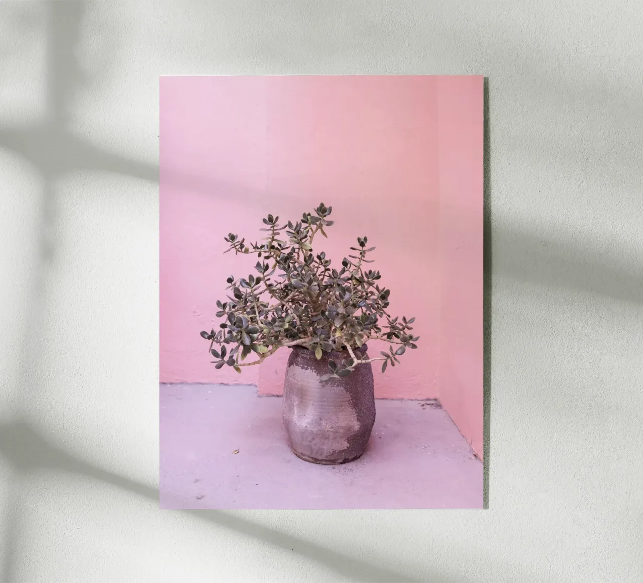 Succulente rustiche spagnole plexiglass da Kathrin Pienaar