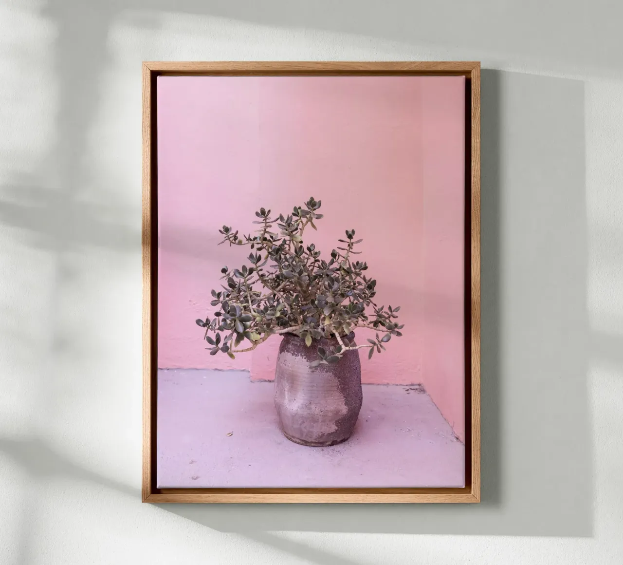 Succulente rustiche spagnole tela con Cornice a cassetta da Kathrin Pienaar