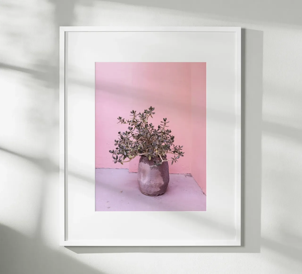Succulente rustiche spagnole carta hahnemühle da Kathrin Pienaar