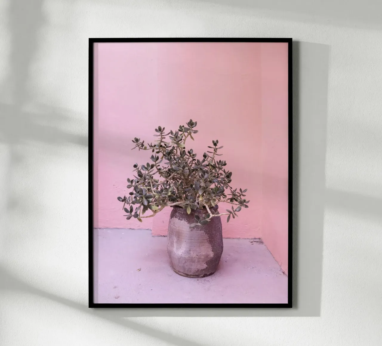 Succulente rustiche spagnole carta hahnemühle da Kathrin Pienaar