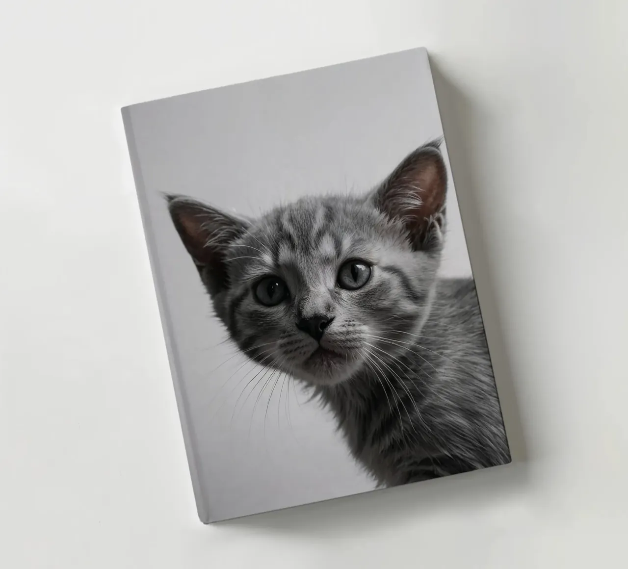 Portrait of a grey kitten w/ intense eyes | Work 47 notebook by Paws & Portraits