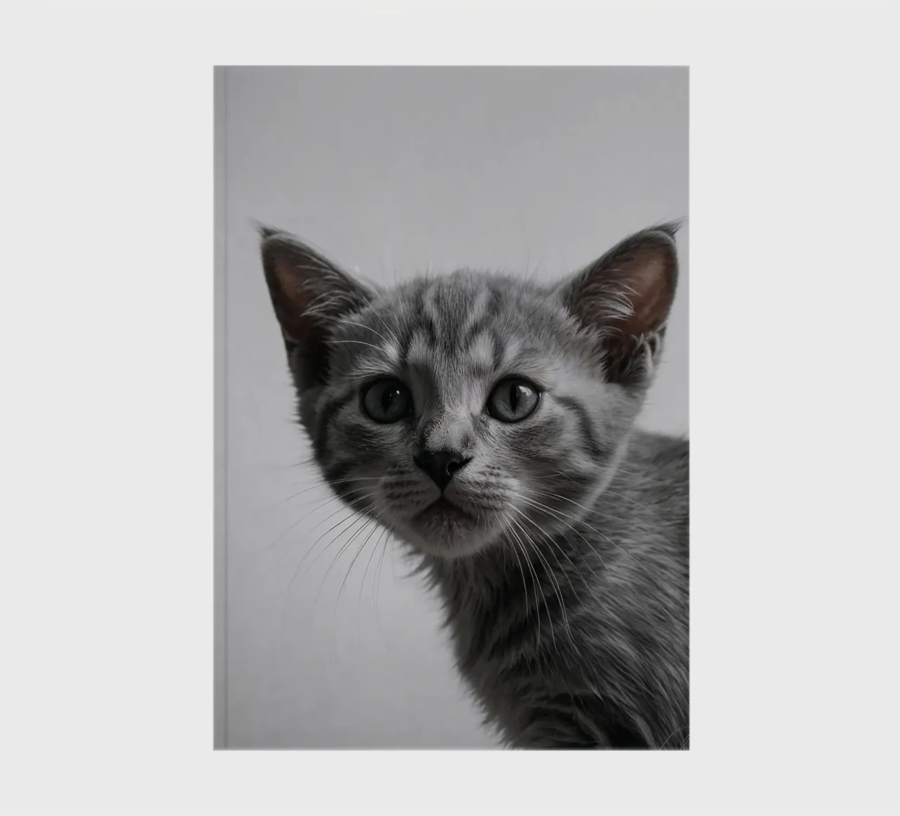 Portrait of a grey kitten w/ intense eyes | Work 47 notebook by Paws & Portraits