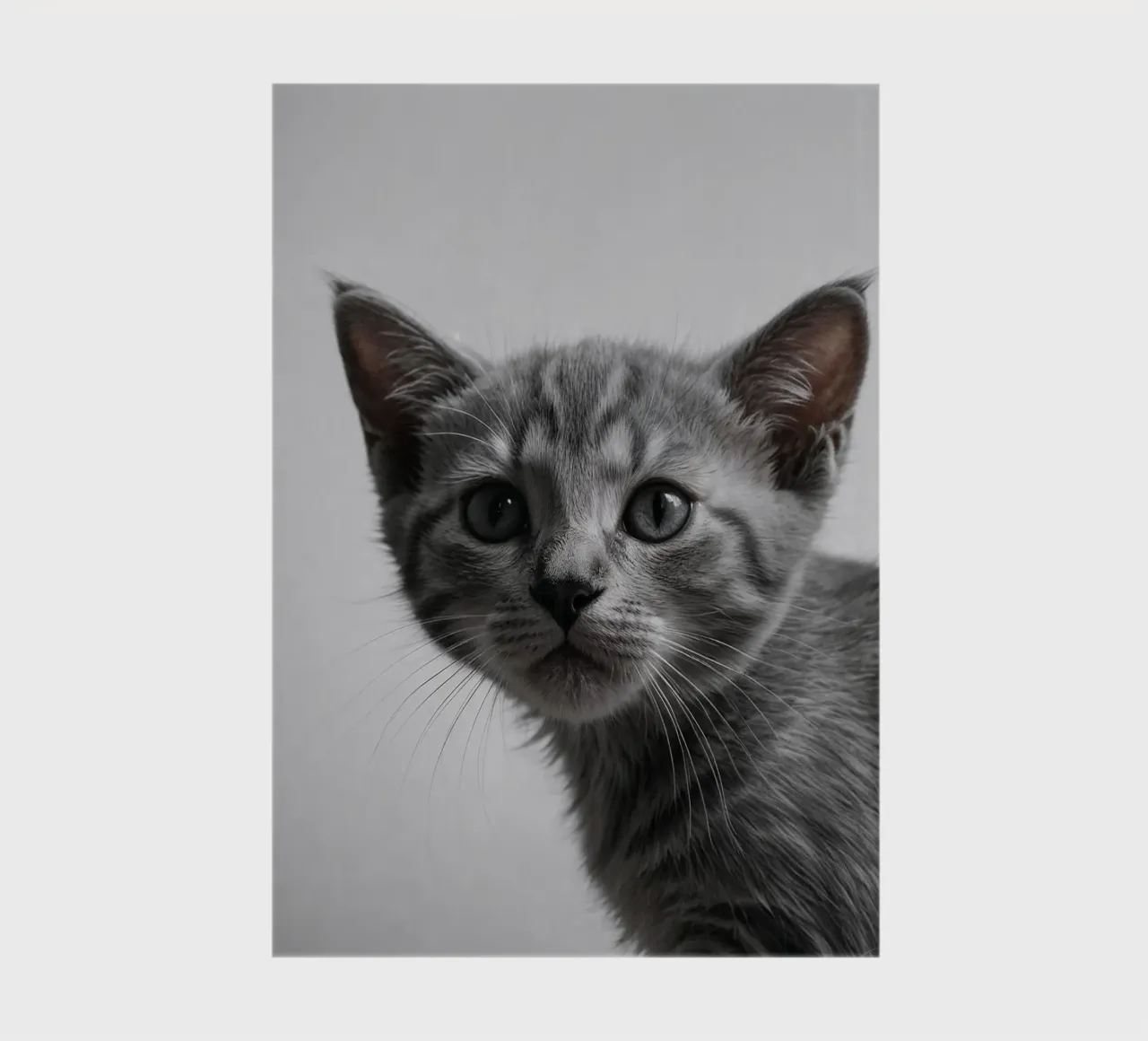 Portrait of a grey kitten w/ intense eyes | Work 47 notebook by Paws & Portraits