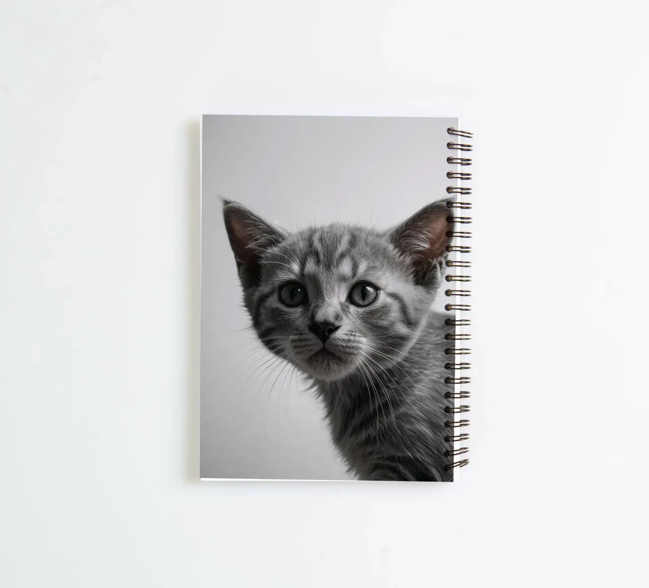 Portrait of a grey kitten w/ intense eyes | Work 47 spiral notebook by Paws & Portraits