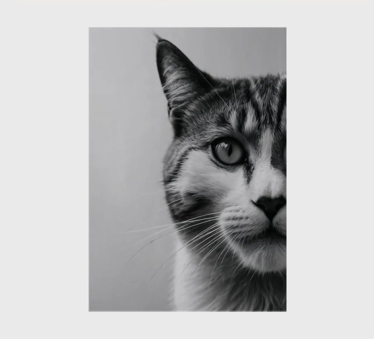Portrait of a cat in profile | Work 51 notebook by Paws & Portraits