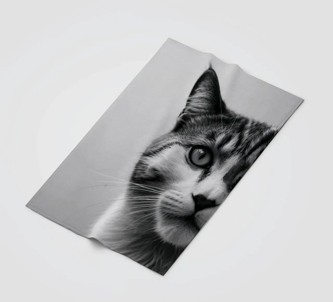 Portrait of a cat in profile | Work 51 fleece blanket by Paws & Portraits