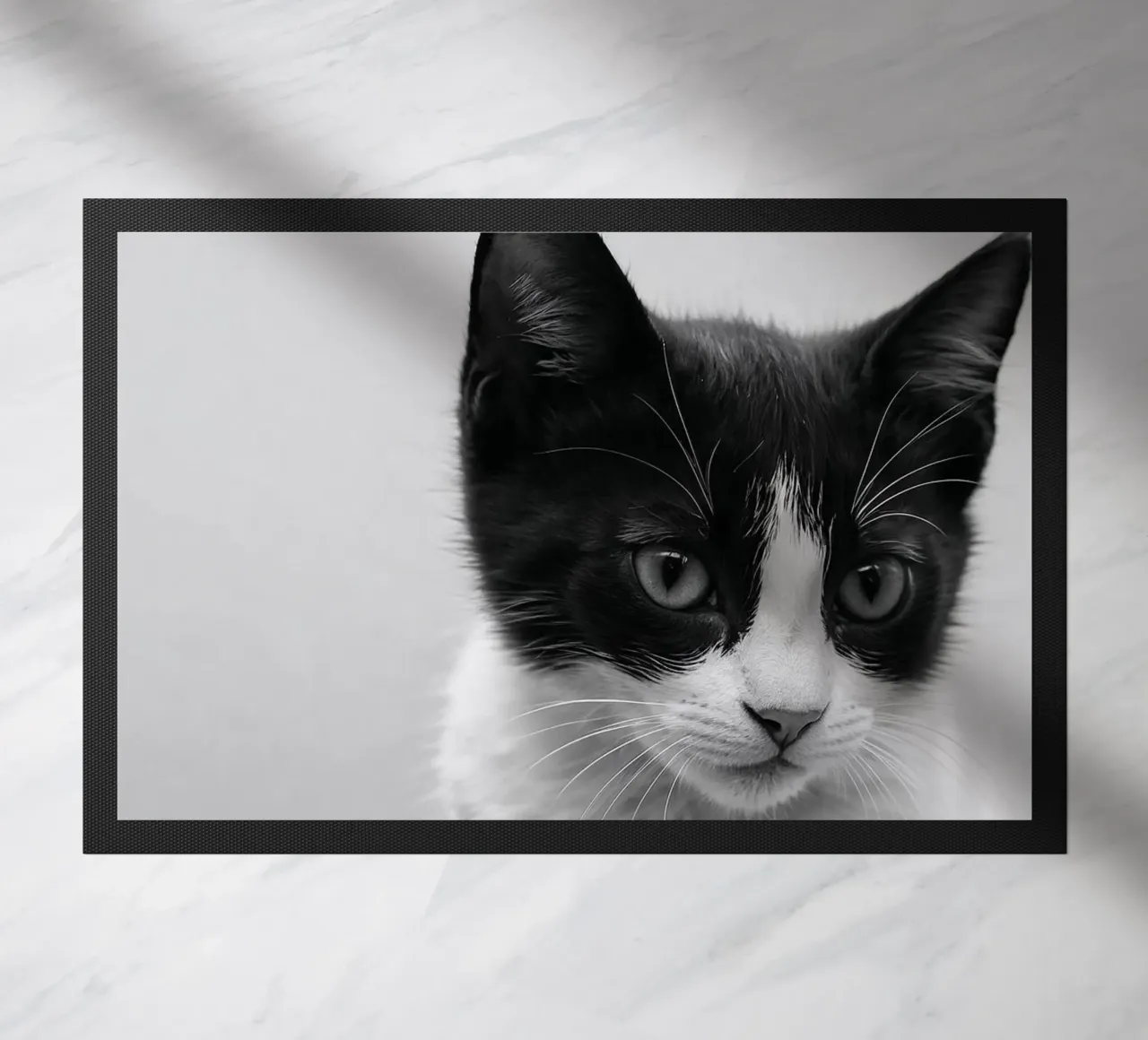 Ritratto in bianco e nero di un giovane gatto | Werk 52 zerbino da Paws & Portraits