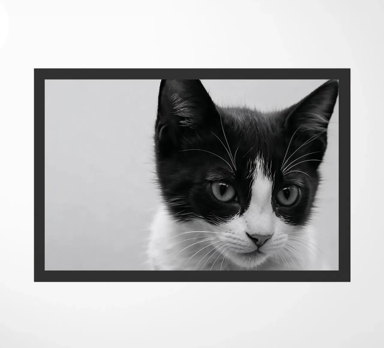 Ritratto in bianco e nero di un giovane gatto | Werk 52 zerbino da Paws & Portraits