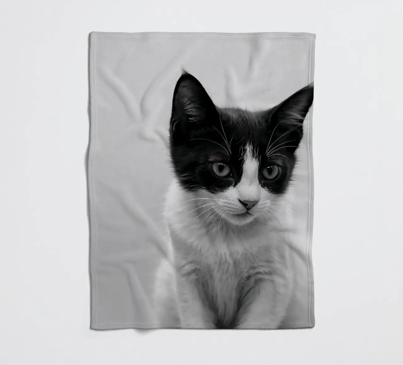 Ritratto in bianco e nero di un giovane gatto | Werk 52 coperta in pile da Paws & Portraits