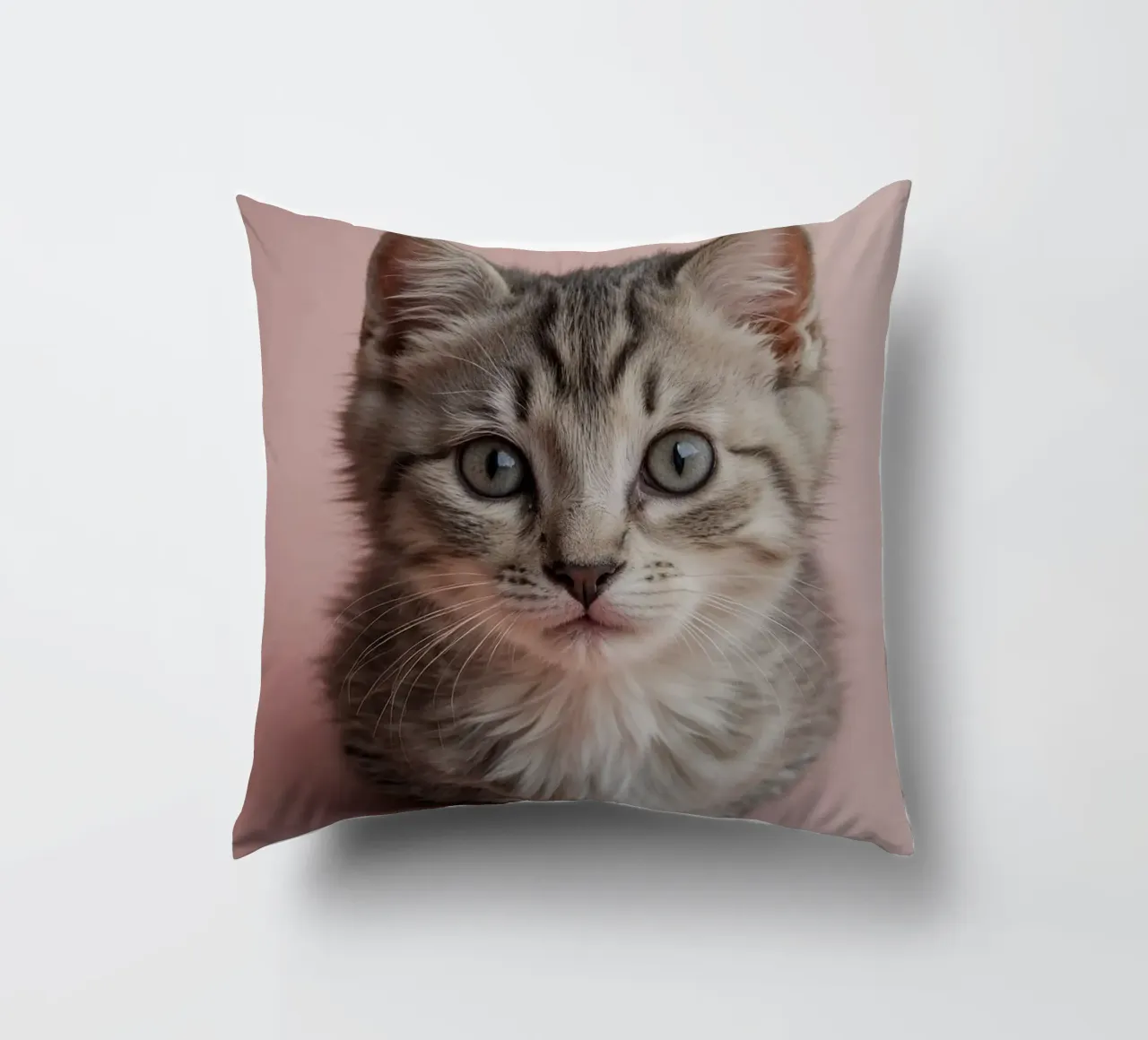 Portrait of a kitten on a pink background | Work 55 decorative cushion by Paws & Portraits