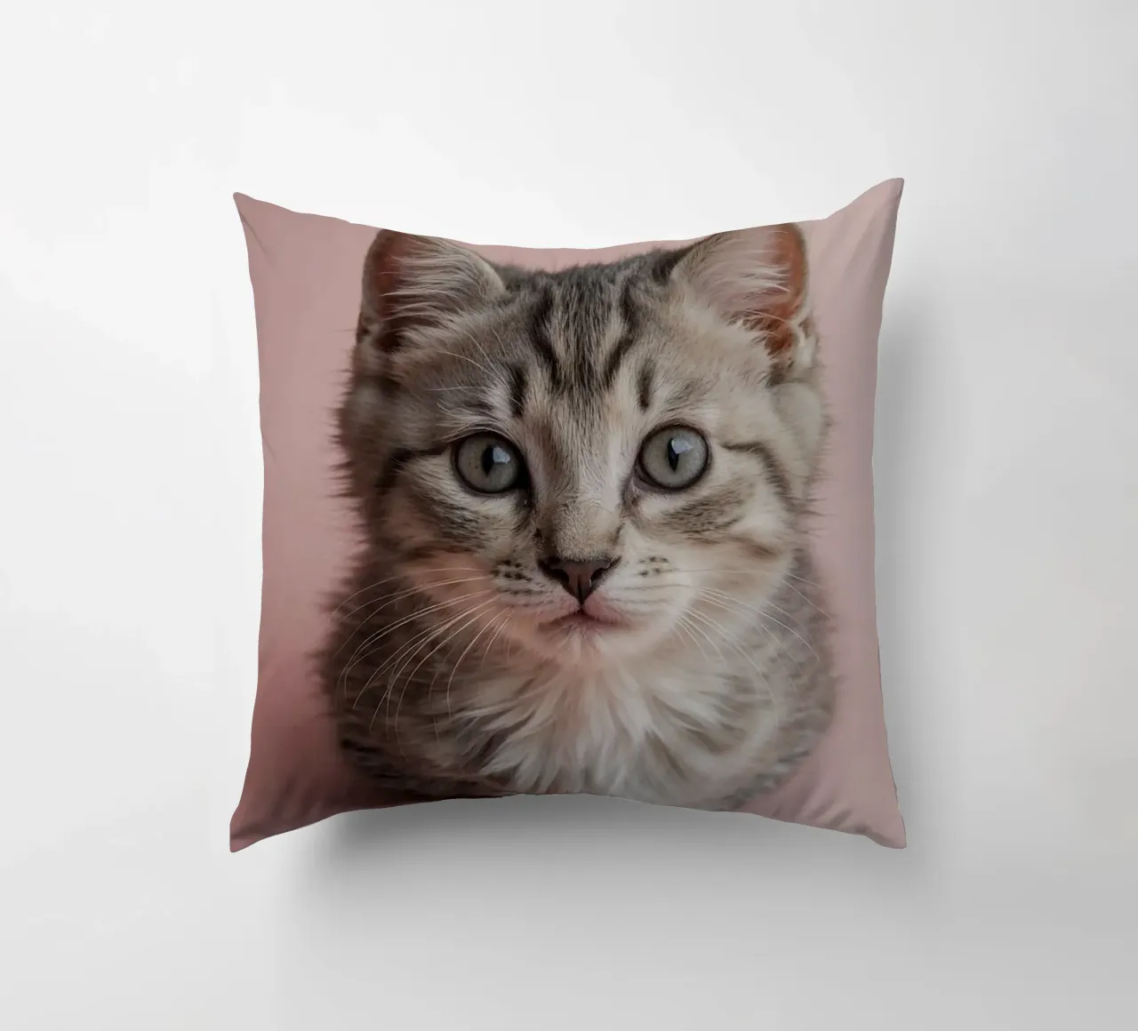 Portrait of a kitten on a pink background | Work 55 decorative cushion by Paws & Portraits