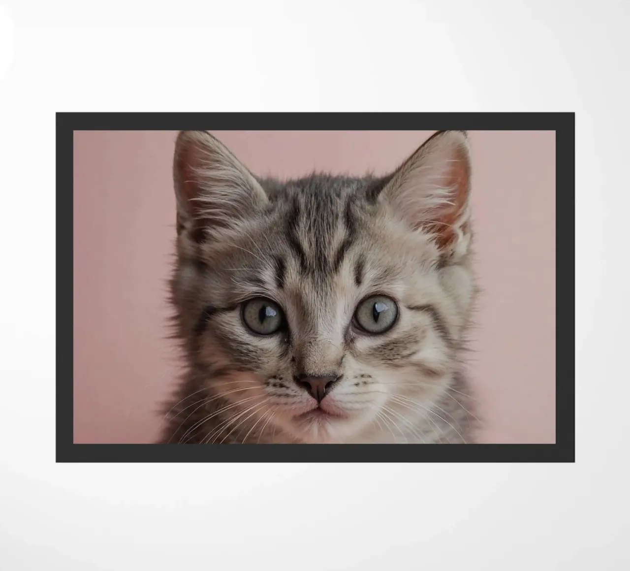 Portrait of a kitten on a pink background | Work 55 doormat by Paws & Portraits