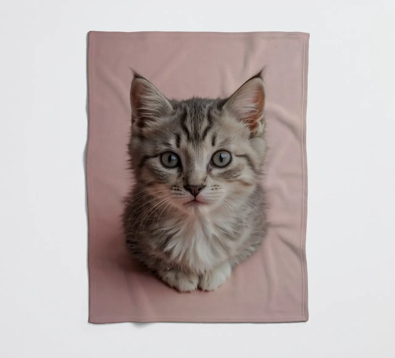 Portrait of a kitten on a pink background | Work 55 fleece blanket by Paws & Portraits