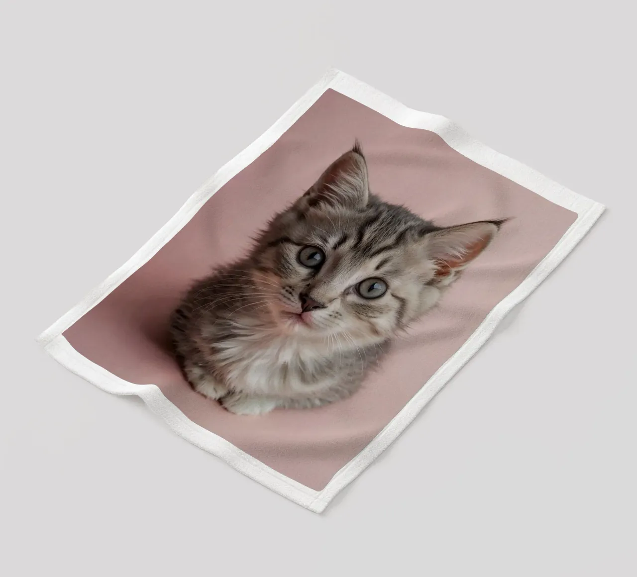 Portrait of a kitten on a pink background | Work 55 fleece blanket by Paws & Portraits