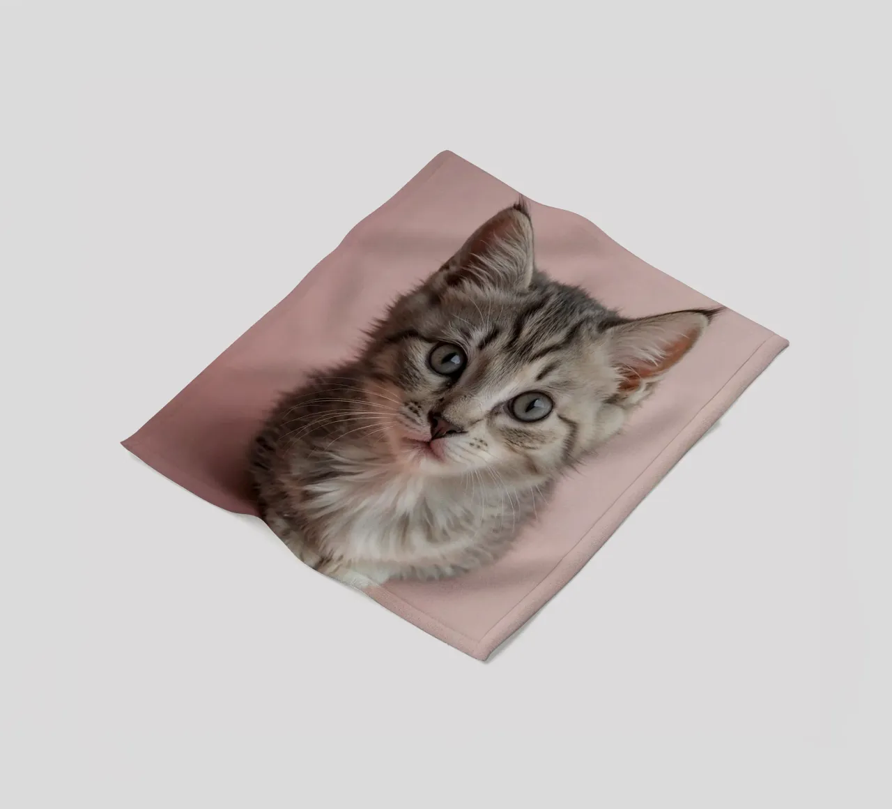 Portrait of a kitten on a pink background | Work 55 fleece blanket by Paws & Portraits