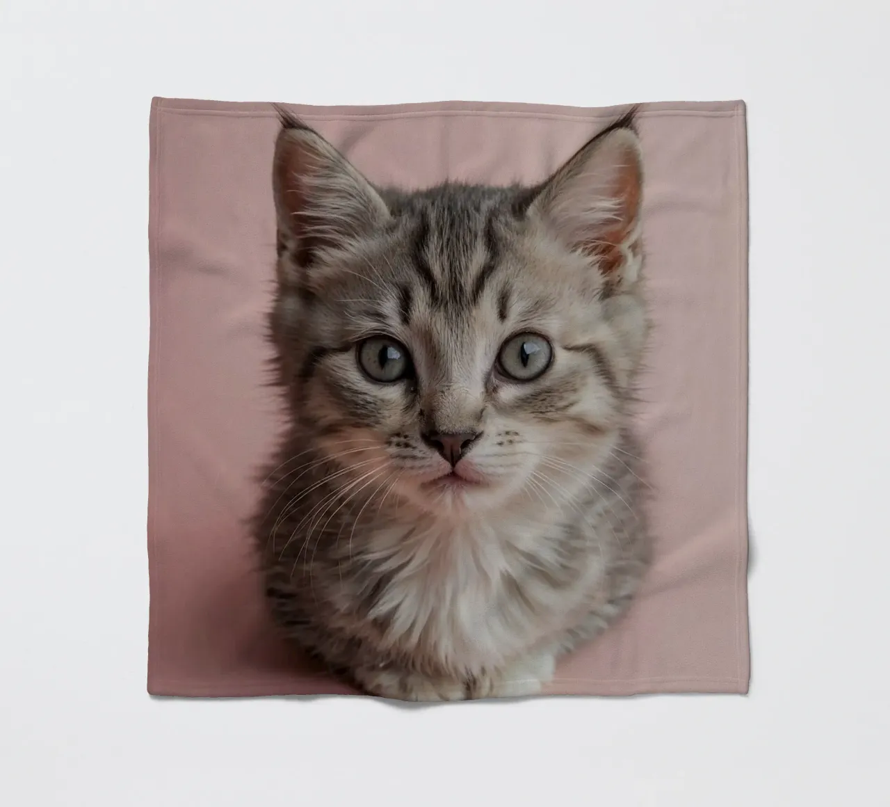 Portrait of a kitten on a pink background | Work 55 fleece blanket by Paws & Portraits