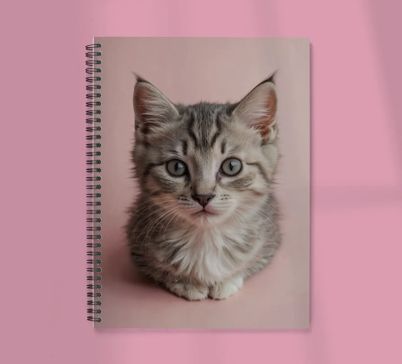Portrait d'un chaton sur fond rose | Oeuvre 55 carnet à spirale de Paws & Portraits