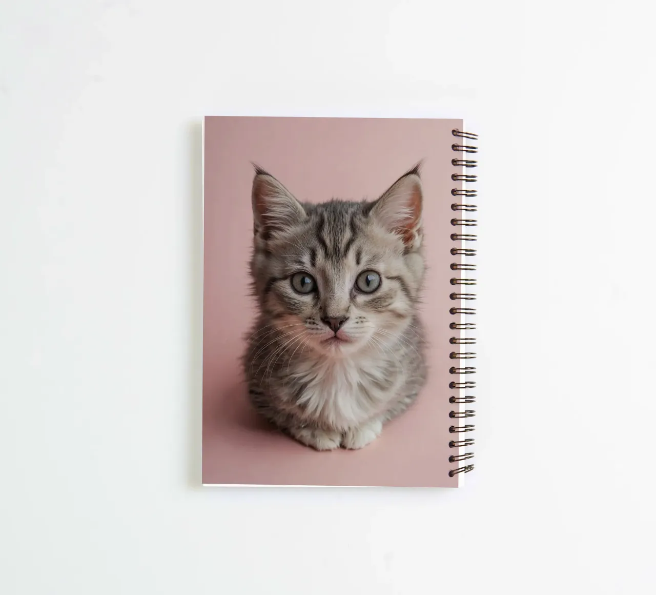 Portrait d'un chaton sur fond rose | Oeuvre 55 carnet à spirale de Paws & Portraits