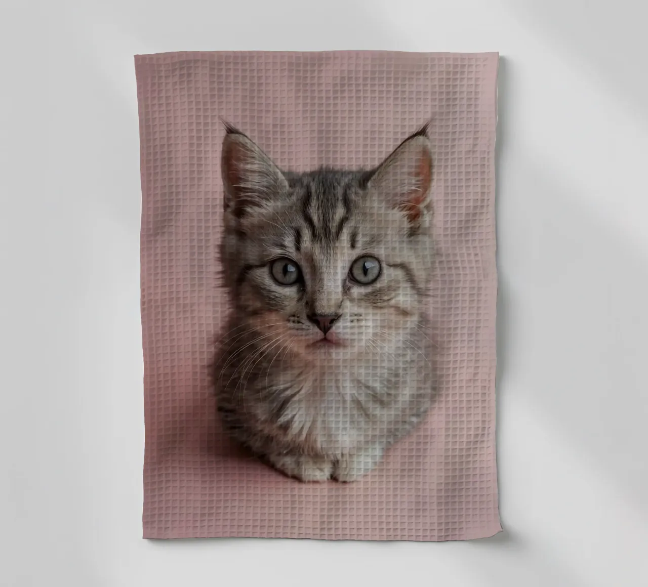 Portrait of a kitten on a pink background | Work 55 tea towel by Paws & Portraits