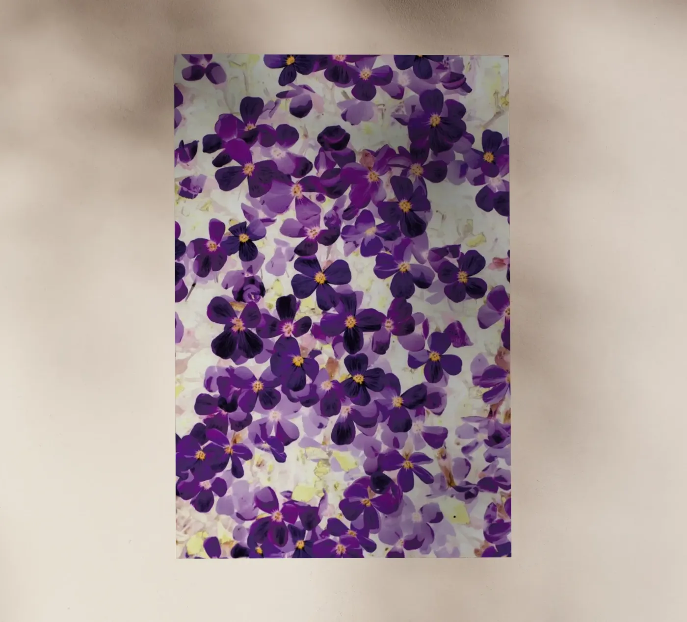 Violet Bloom pellicola backlit da Amy Sia