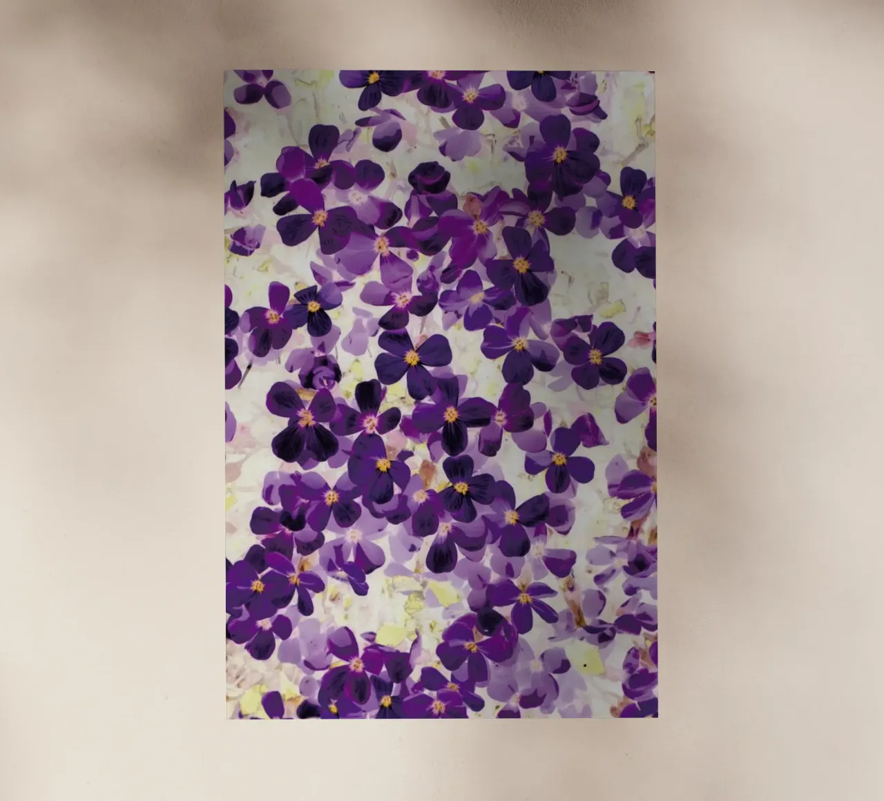 Violet Bloom pellicola backlit da Amy Sia