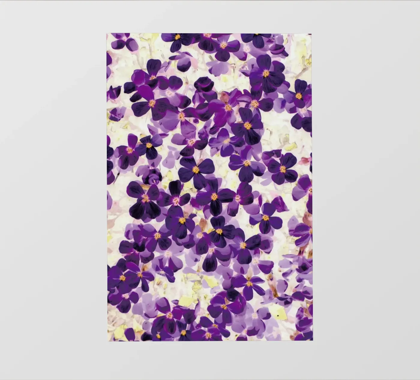Violet Bloom pellicola backlit da Amy Sia