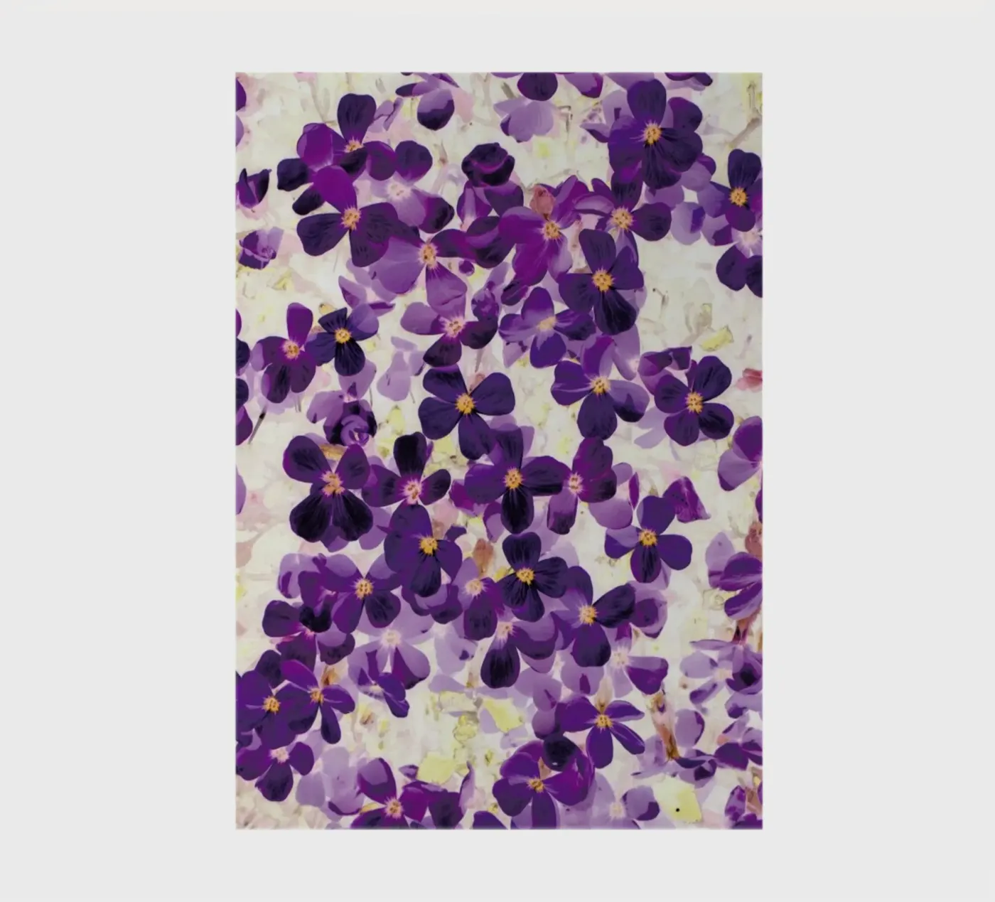 Violet Bloom notebook by Amy Sia