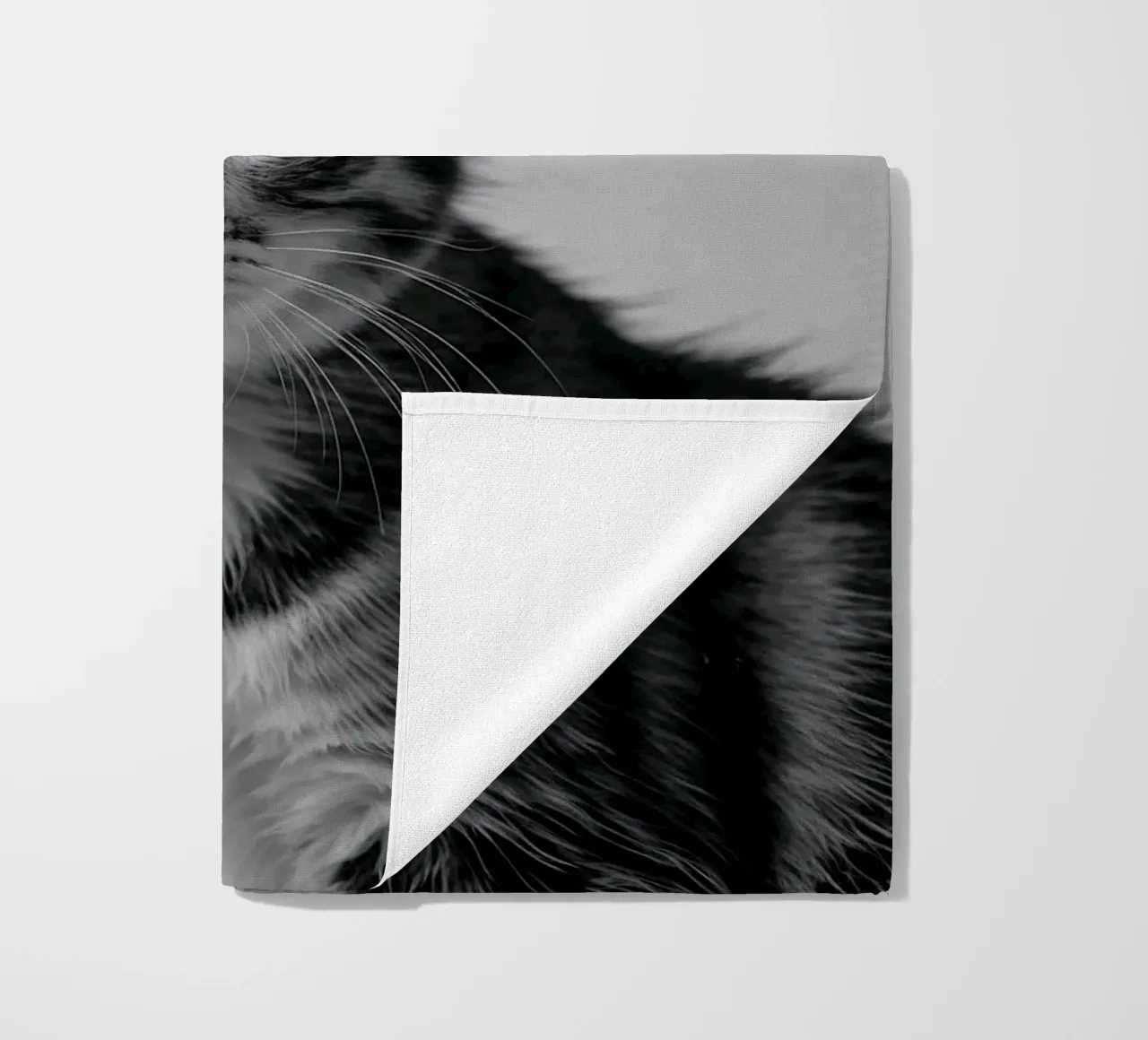 Portrait of a curious kitten | Work 59 beach towel by Paws & Portraits
