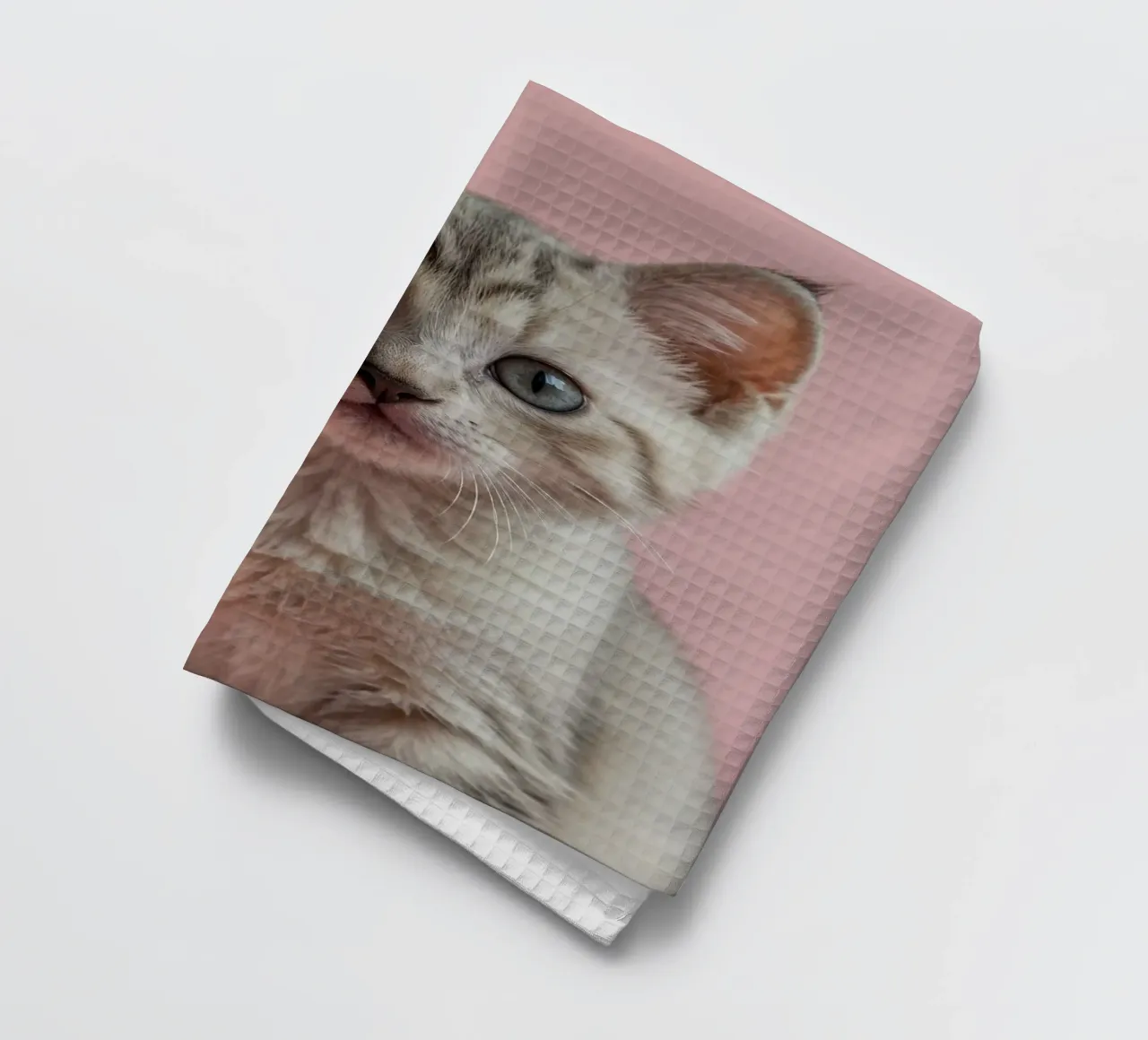 Portrait d'un chaton curieux | Oeuvre 64 torchon de Paws & Portraits