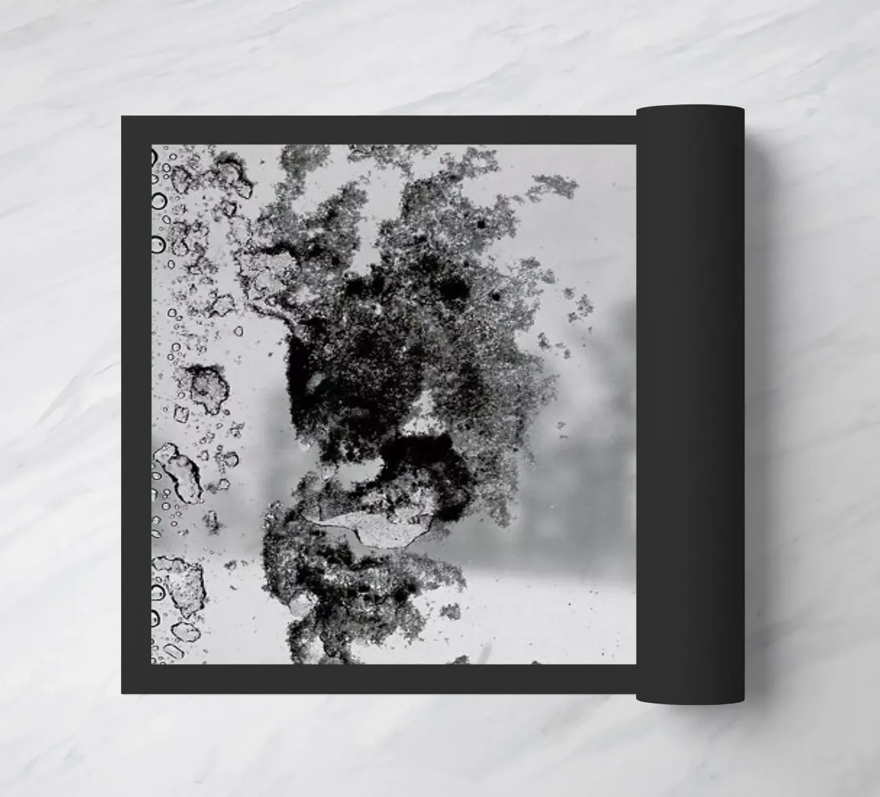 Ice zerbino da anderm