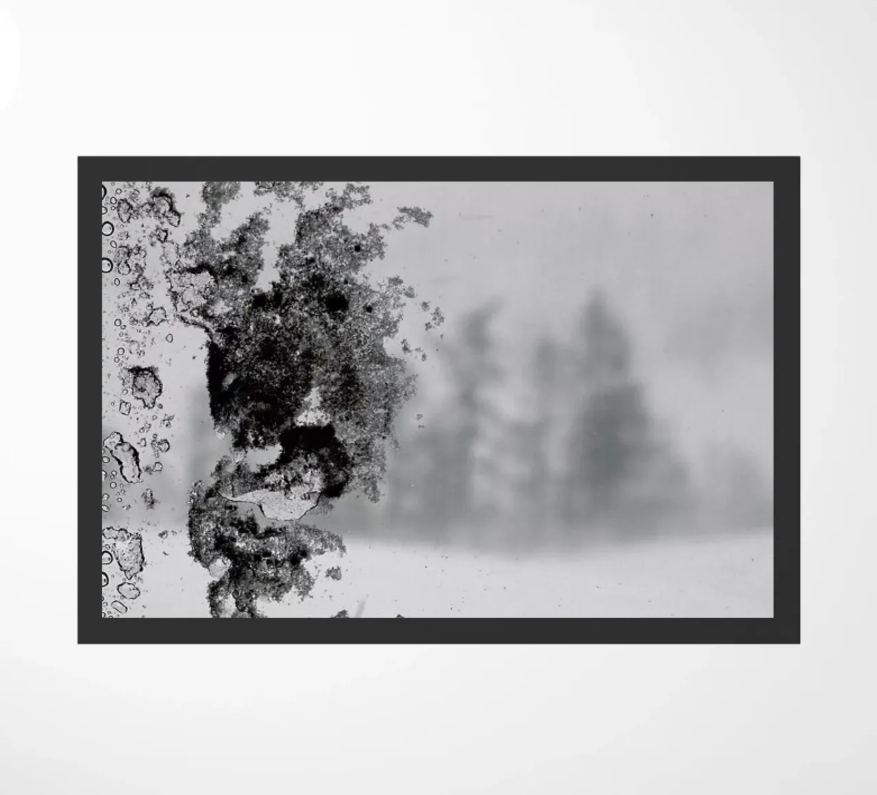 Ice zerbino da anderm