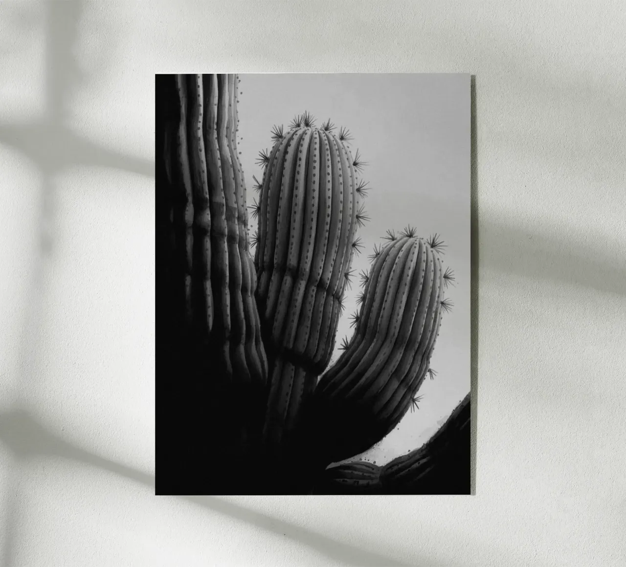 CACTUS BW plexiglass da PERSIE