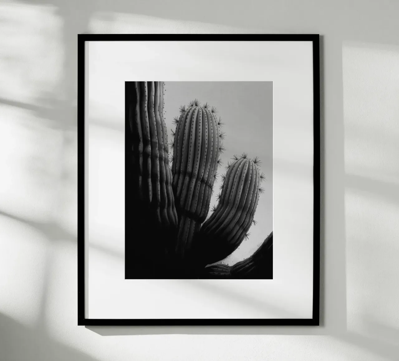 CACTUS BW poster da PERSIE