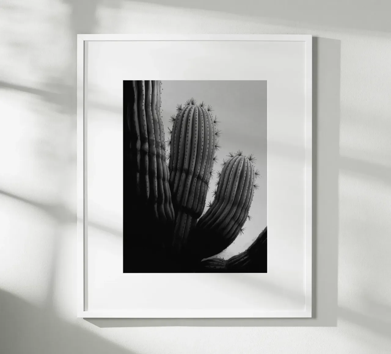 CACTUS BW poster da PERSIE