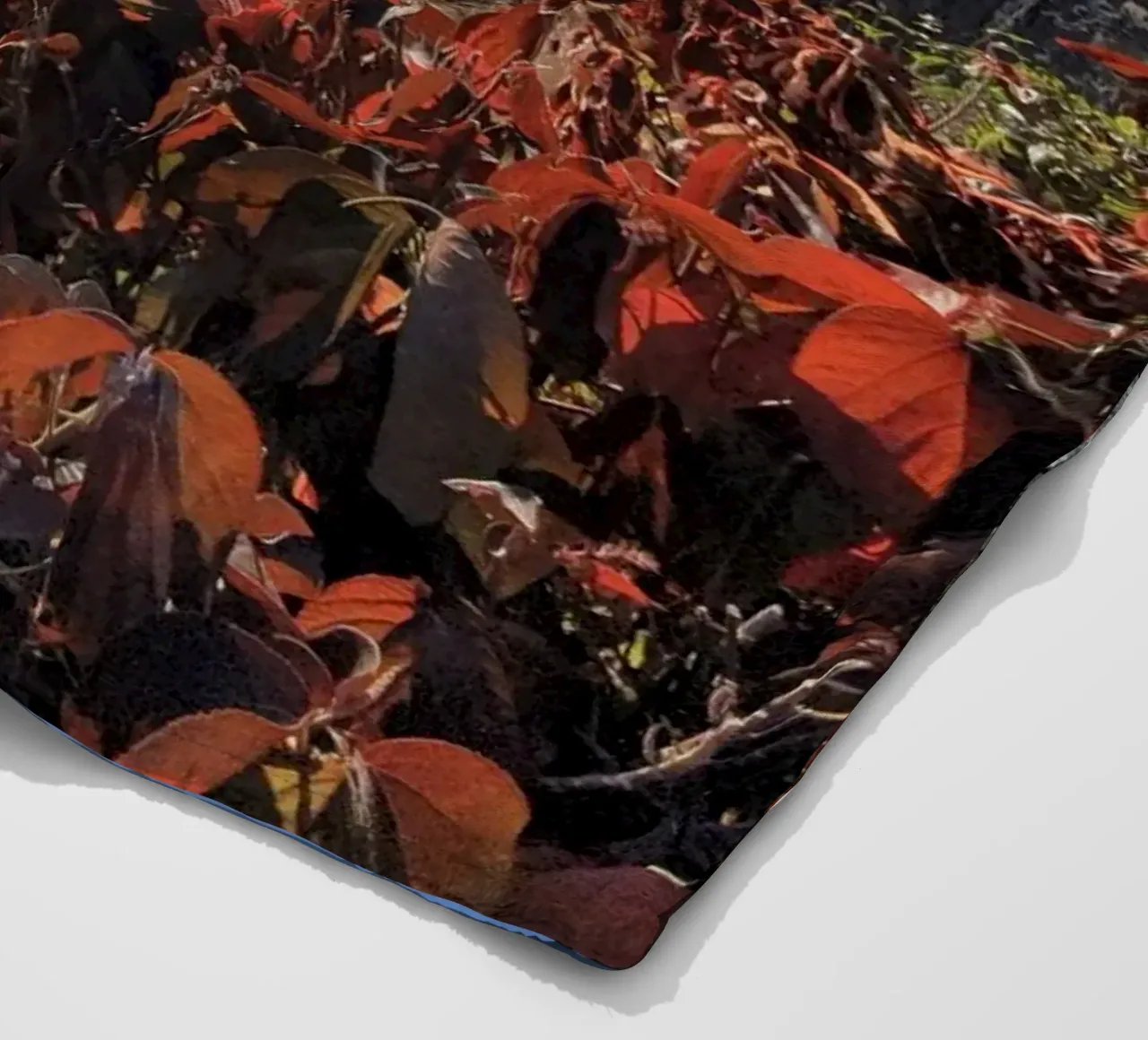 Holz #23 Fleecedecke von ZAMART - Fotografie