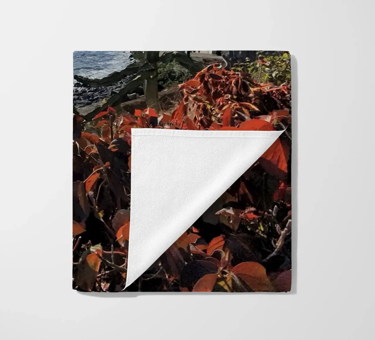 Legno #23 telo mare da ZAMART - Fotografie