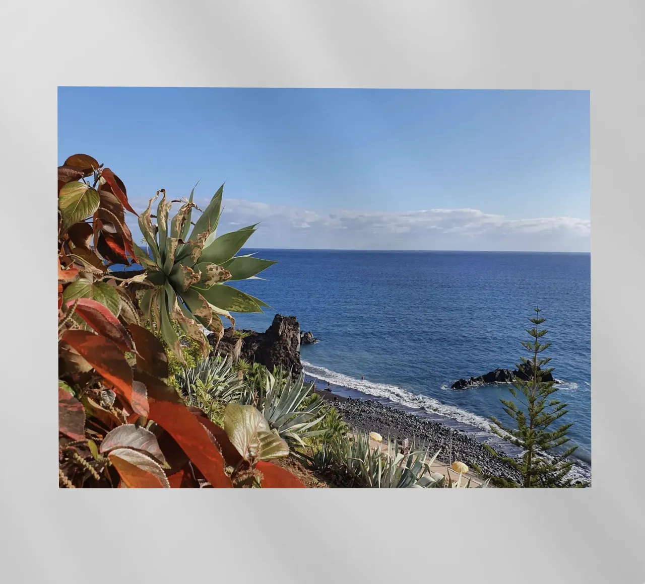 Madera #24 pellicola backlit da ZAMART - Fotografie