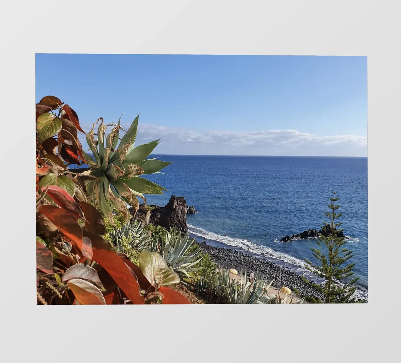 Madera #24 pellicola backlit da ZAMART - Fotografie