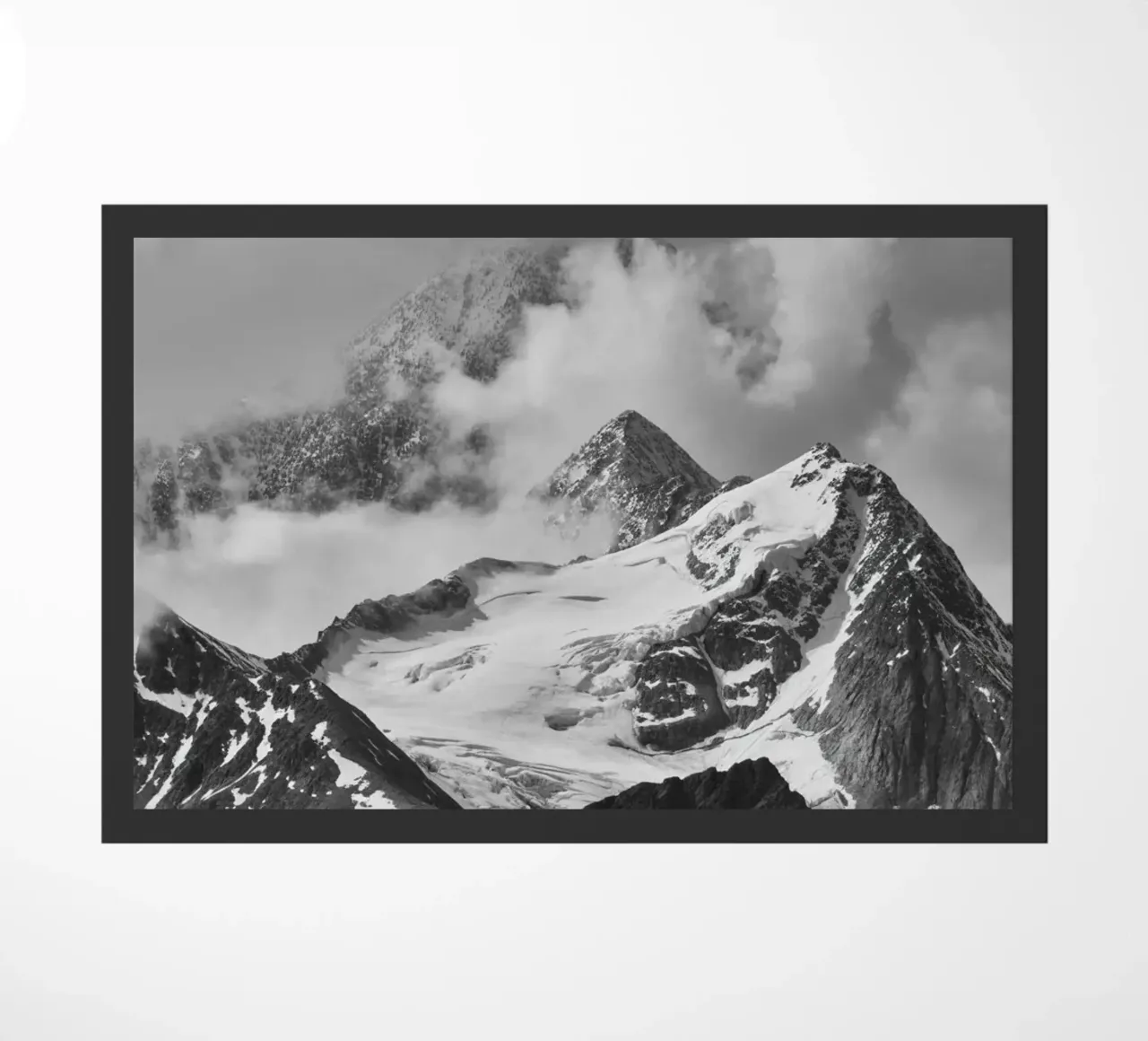 SNOWY E BW zerbino da PERSIE