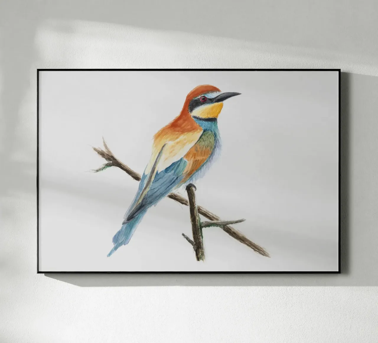 Bee-eater "Merops apiaster" plexiglass da Barbara Buderath Illustrationen