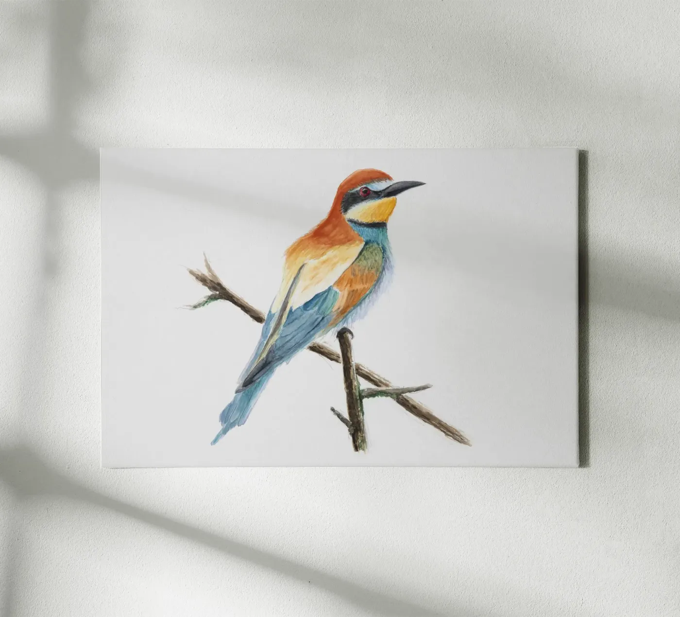 Bee-eater "Merops apiaster" canvas van Barbara Buderath Illustrationen