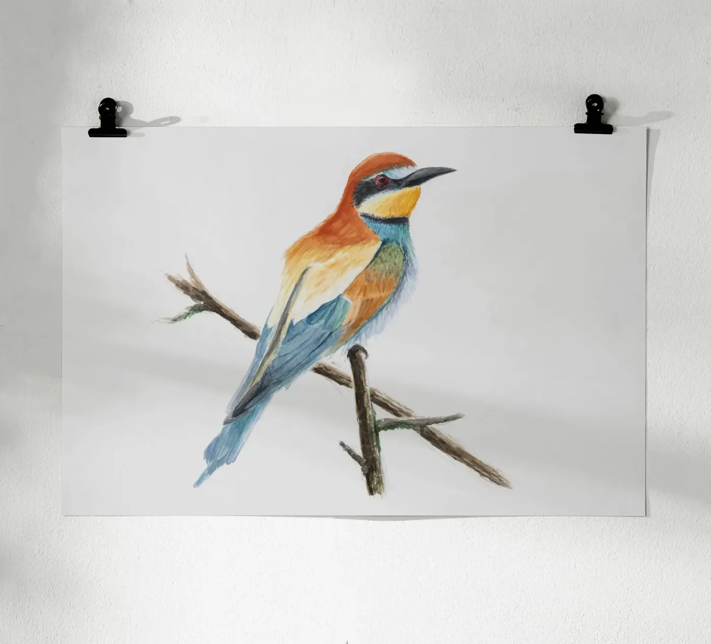 Gruccione "Merops apiaster" poster da Barbara Buderath Illustrationen