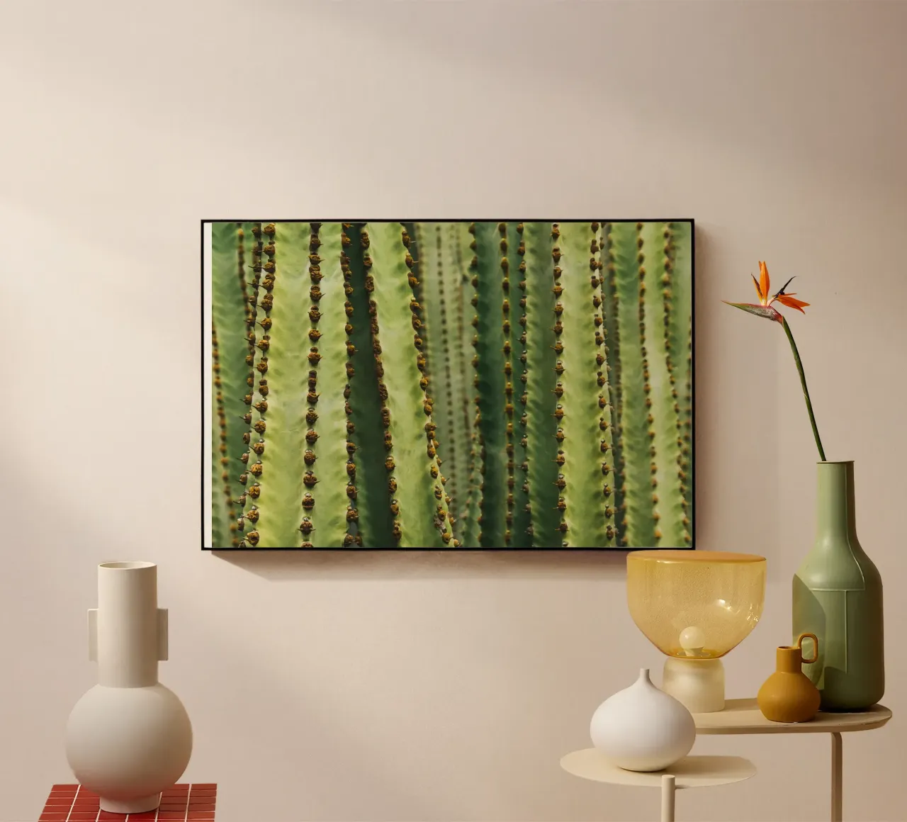 Kaktus plexiglass da susea