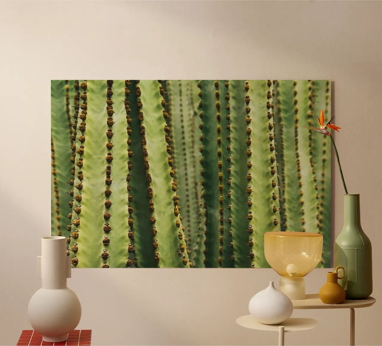 Kaktus plexiglass da susea