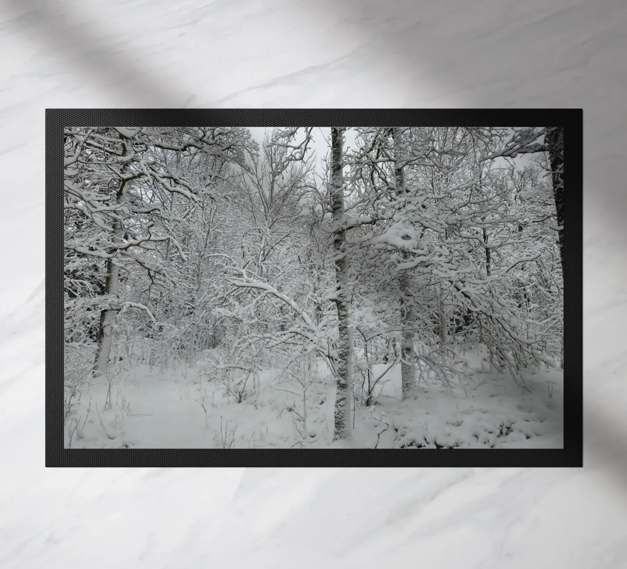 Neve zerbino da Piccola Serenata