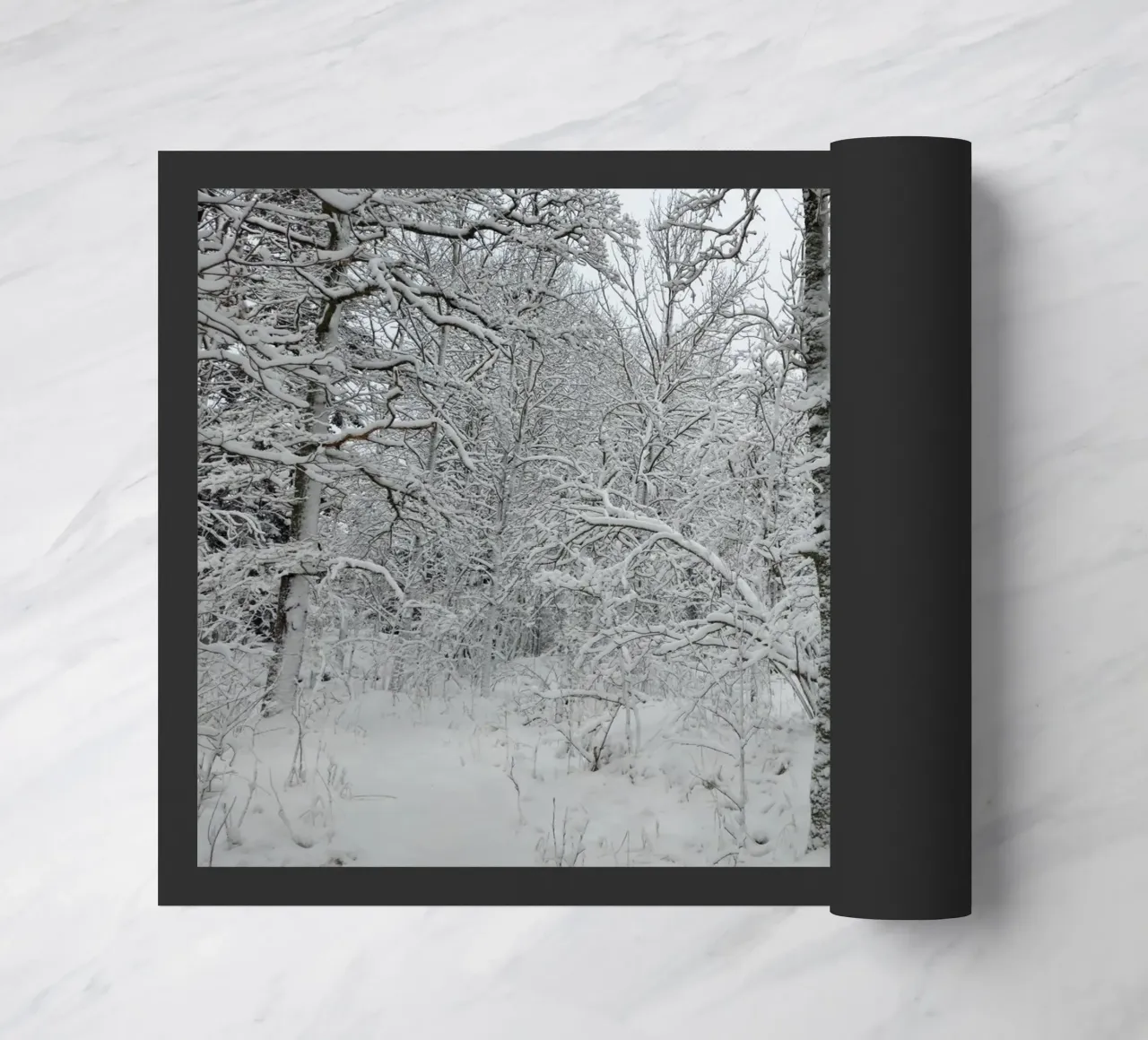 Neve zerbino da Piccola Serenata