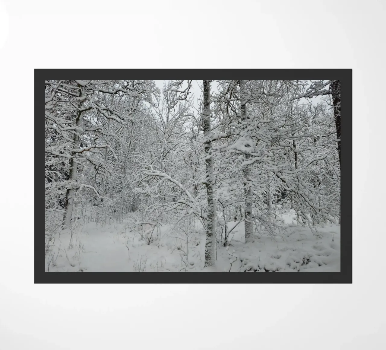 Neve zerbino da Piccola Serenata